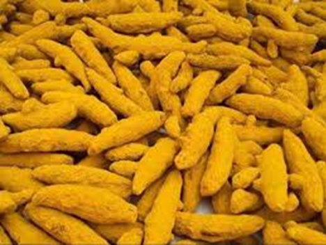 Good Grade / Mini Selam Double Polish / Mini Finger Turmeric