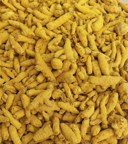 FAQ (Fair Average Quality) / Brazil Grade / Jaipur Mini Selam Single Polish